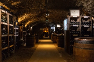 Dégustation de vins en Bourgogne